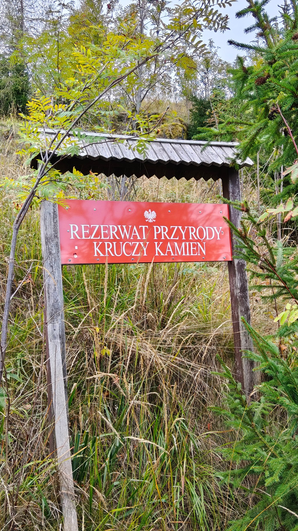 Jesienny spacer po Kruczych Skałach w Lubawce – skałki, widoki i grzyby w&nbsp;gratisie